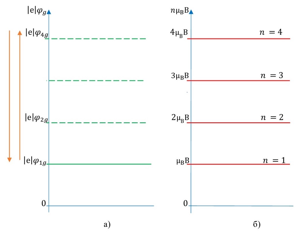Схематично показана связь между плавным изменением потенциала φg электростатического поля затвора-подложки в зоне проводимости (в 2МЭГ), умноженным на абсолютную величину заряда электрона |e|, и допустимыми значениями энергии электрона в магнитном поле nμBB при B=const: а - значение потенциала φg электростатического поля затвора-подложки в зоне проводимости, умноженного на абсолютную величину заряда электрона |e|; б - дискретный энергетический спектр системы 2МЭГ в магнитном поле в соответствии с формулами (22) и (23)