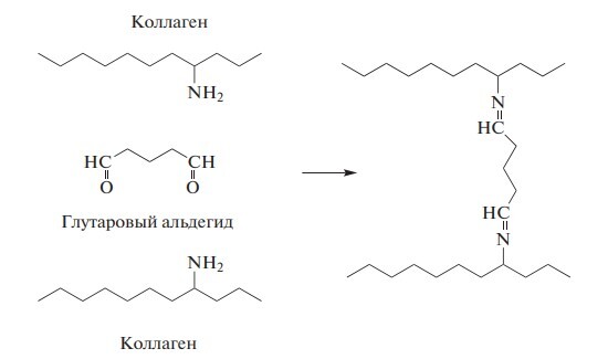 Схема реакции сшивания молекул коллагена с помощью глутарового альдегида