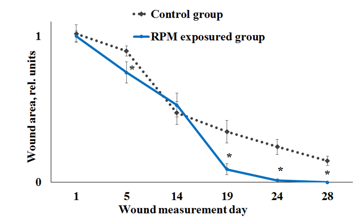  Dynamics of reduction of burn wound surface in rats irradiated with nanosecond RPMs with pulse repetition rate of 8 Hz and intensity of 140 W/cm2