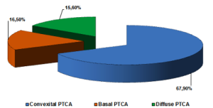Fig. 1 – Distribution according to the classification of posttraumatic cerebral arachnoiditis