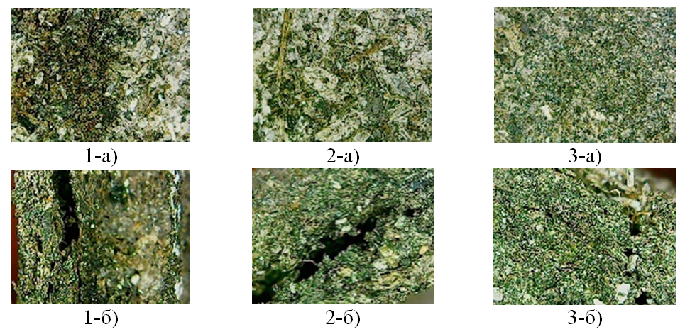 Микрофото образцов после экспозиции в грунте за 60 суток:а - лицевая поверхность, б - боковой срез; 1) влажность сырья 8 %, 2) 12 %, 3) 16 %