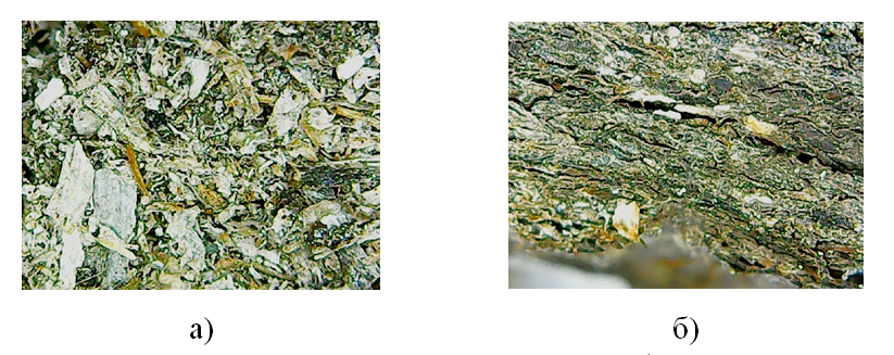 Результаты микроскопирования образцов на основе ПБС на основе водорослей после водопоглощения за 24 часа:а - лицевая поверхность ПБС, б - боковой срез