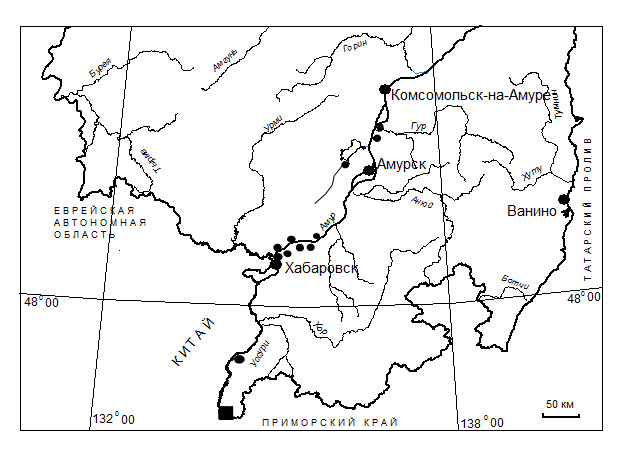 Современное распространение Hemarthria sibirica на территории Хабаровского края