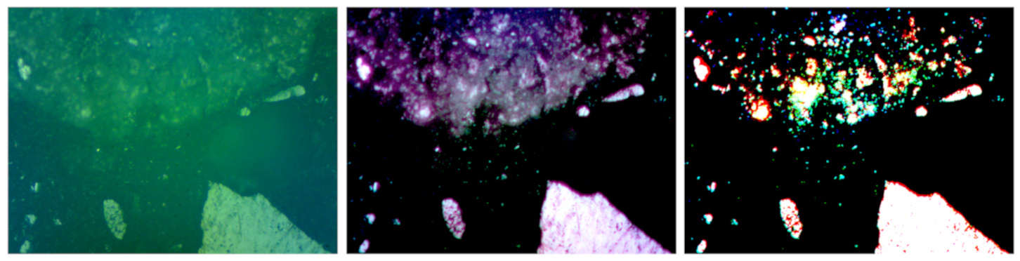Исходное изображение в полном спектре видимого излучения, выделенные фрагменты с яркими областями и скан спектральных компонентов