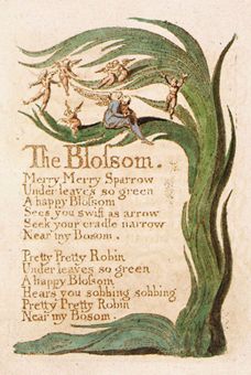 Иллюстрация к стихотворению «Blossom»
