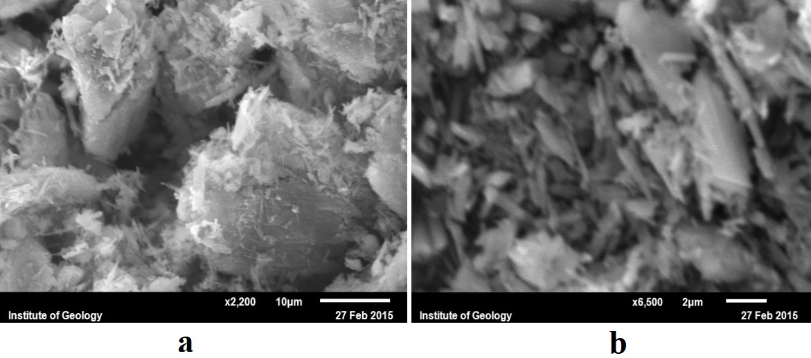 Micropictures of gypsum adhesive: a - without additives chemical additives; b - with chemical additives