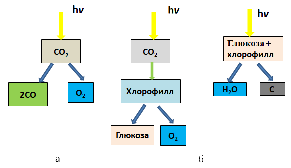 Схема разложения поглощения углекислого газа фотонами солнечного света (а) и поглощения его биосферой (б)