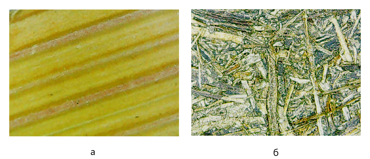 Микрофото лицевой поверхности: а – исходный лист финиковой пальмы; б – ПБС на основе измельченного листа финиковой пальмы