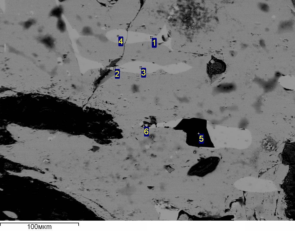Снимок структуры УККМ: 1, 2, 3, 4, 5, 6 - точки, в которых проводился микрорентгеноспектральный анализ