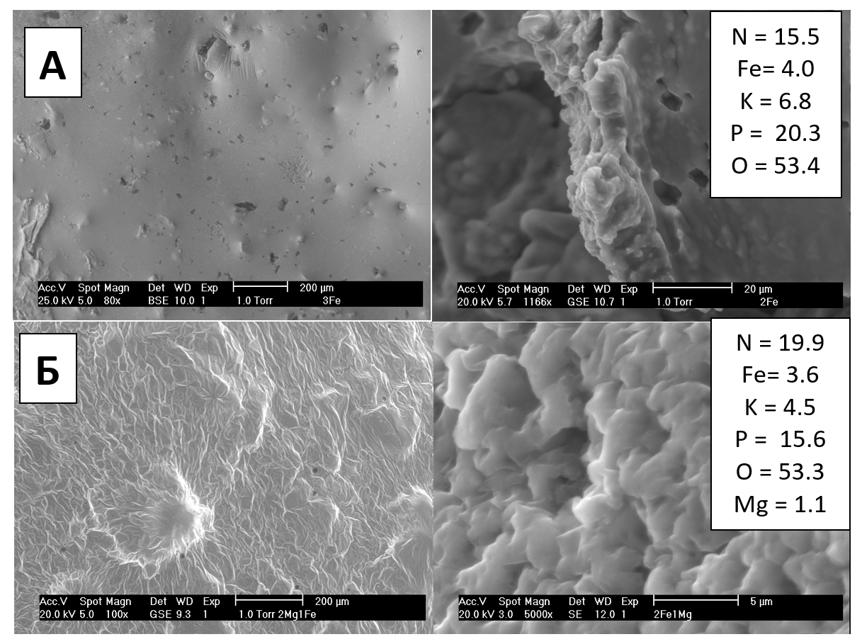 Микрофотографии гелей, полученных с использованием нитрата железа (А) и смеси нитрата железа и нитрата магния (Б), а также их химический состав