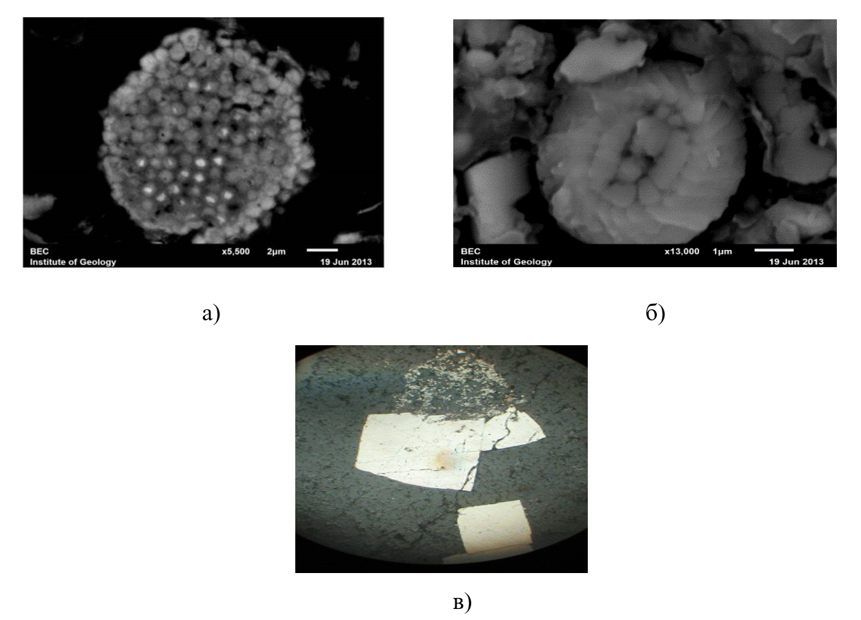 Морфологические разновидности пирита: а - фрамбоидалный пирит под электронным микроскопом Х5500; б - сферолиты пирита по микроорганизмам под электронным микроскопом Х13000; в - хорошо огранённые идиоморфные и точечные кристаллы эпигенетического пирита