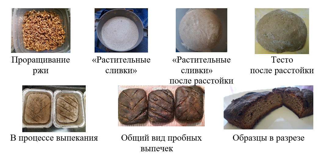 Основные стадии изготовления хлеба на «растительных сливках» из ржаного солода