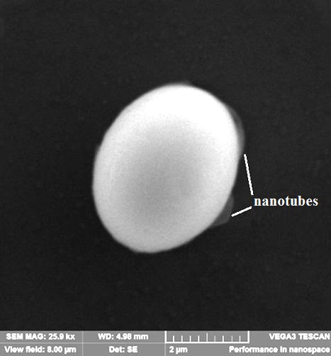 Nanostructure of zinc oxide obtained in water vapor