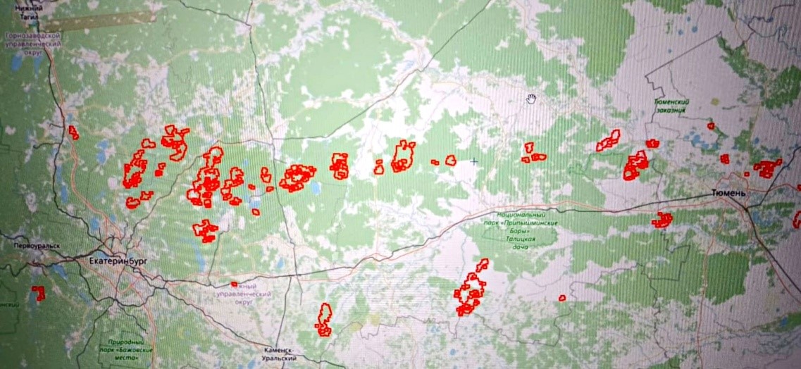 Карта-Схема лесных возгораний между Екатеринбургом и Тюменью