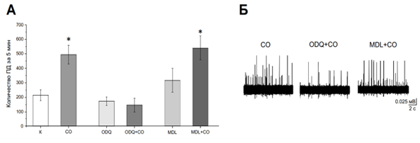 Сравнение действия экзогенного донора CO в контроле и на фоне ингибиторов растворимой гуанилатциклазы и аденилатциклазы