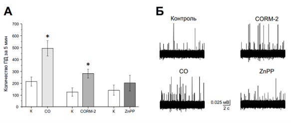  Влияние экзогенного CO и блокатора синтеза CO на частоту потенциалов действия в афферентах тройничного нерва крысы