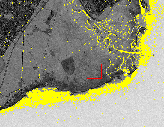 Результат выявления водорослей (желтым) на основе значений индекса мутности (устье реки Тыя 6 июля 2020)