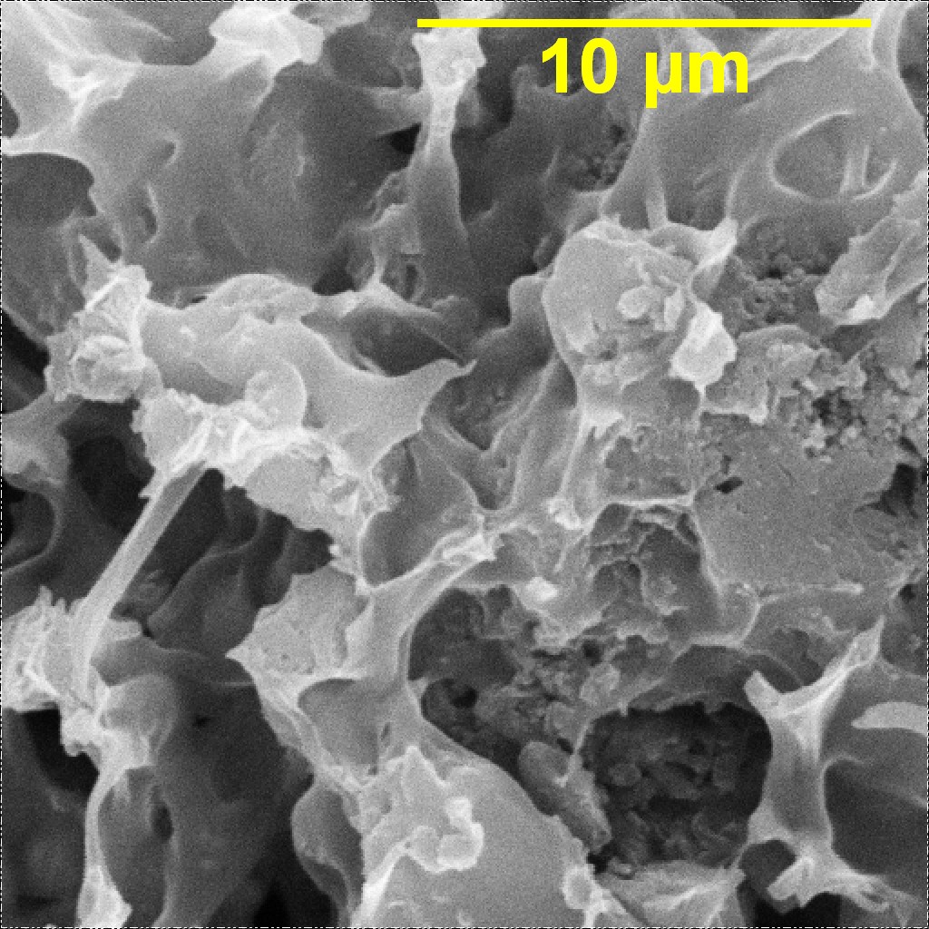СЭМ-изображение гранулированного ионообменного материала на основе протонированного полититаната калия