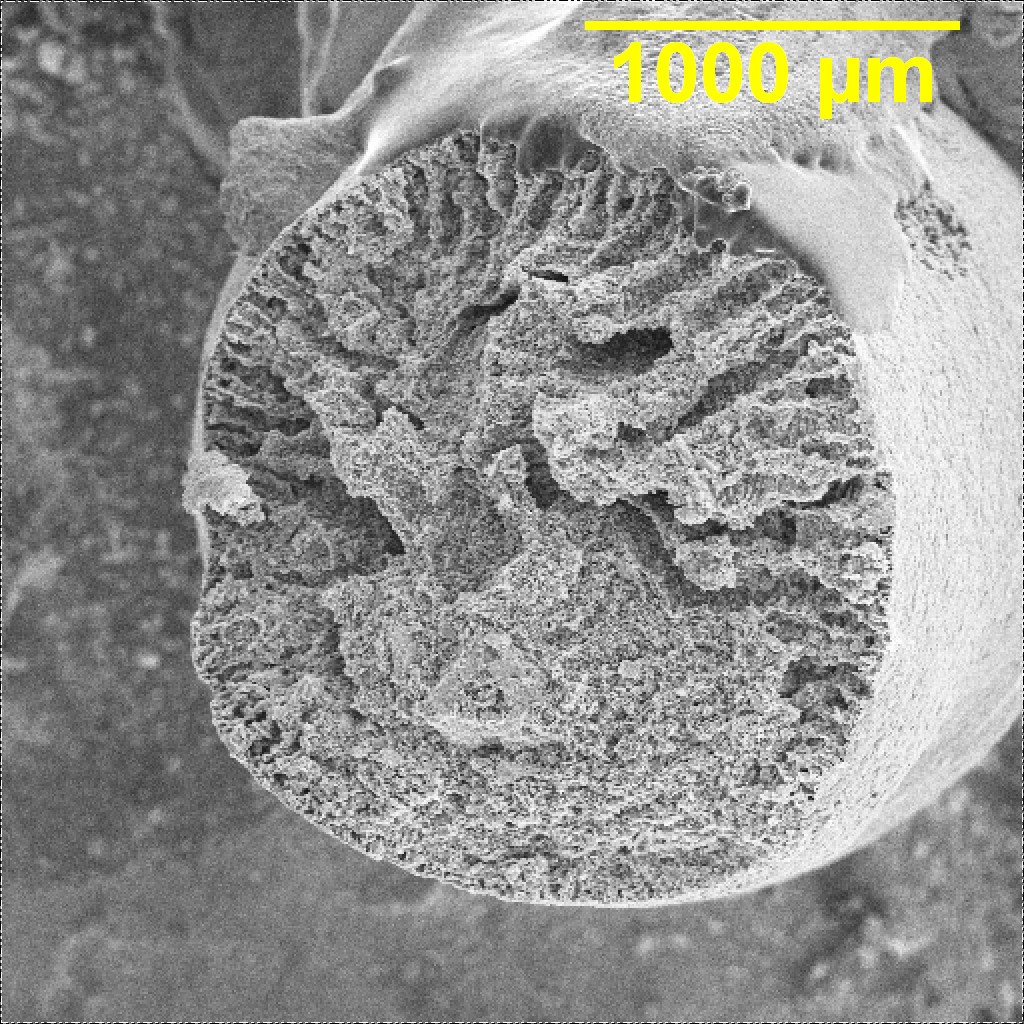 СЭМ-изображение гранулированного ионообменного материала на основе протонированного полититаната калия