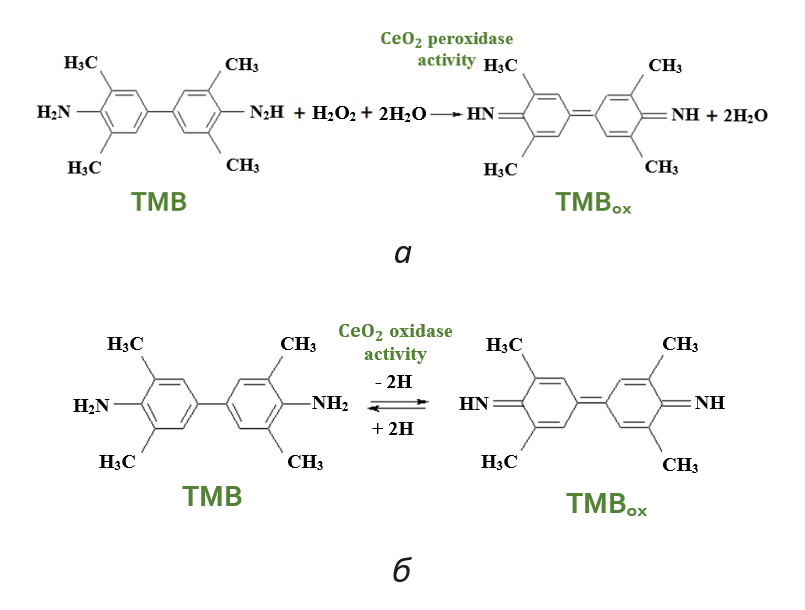 Механизм действия пероксидазы (a) и оксидазы (б) на субстрат ТМБ