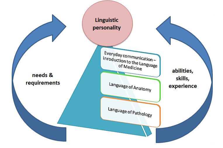 Person-oriented systemic hierarchical model of TFL in a medical university