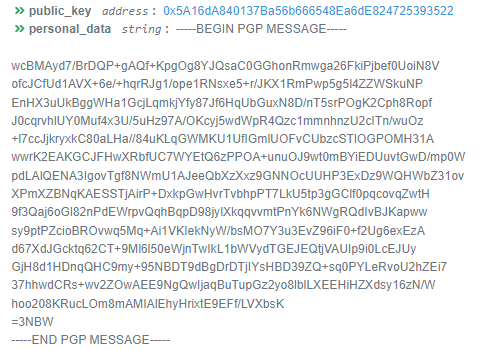 Пример хранения зашифрованных данных в Polygon