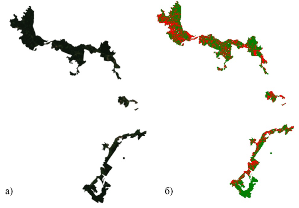 Национальный парк (а) и цветовая схема (б) в 2023 году