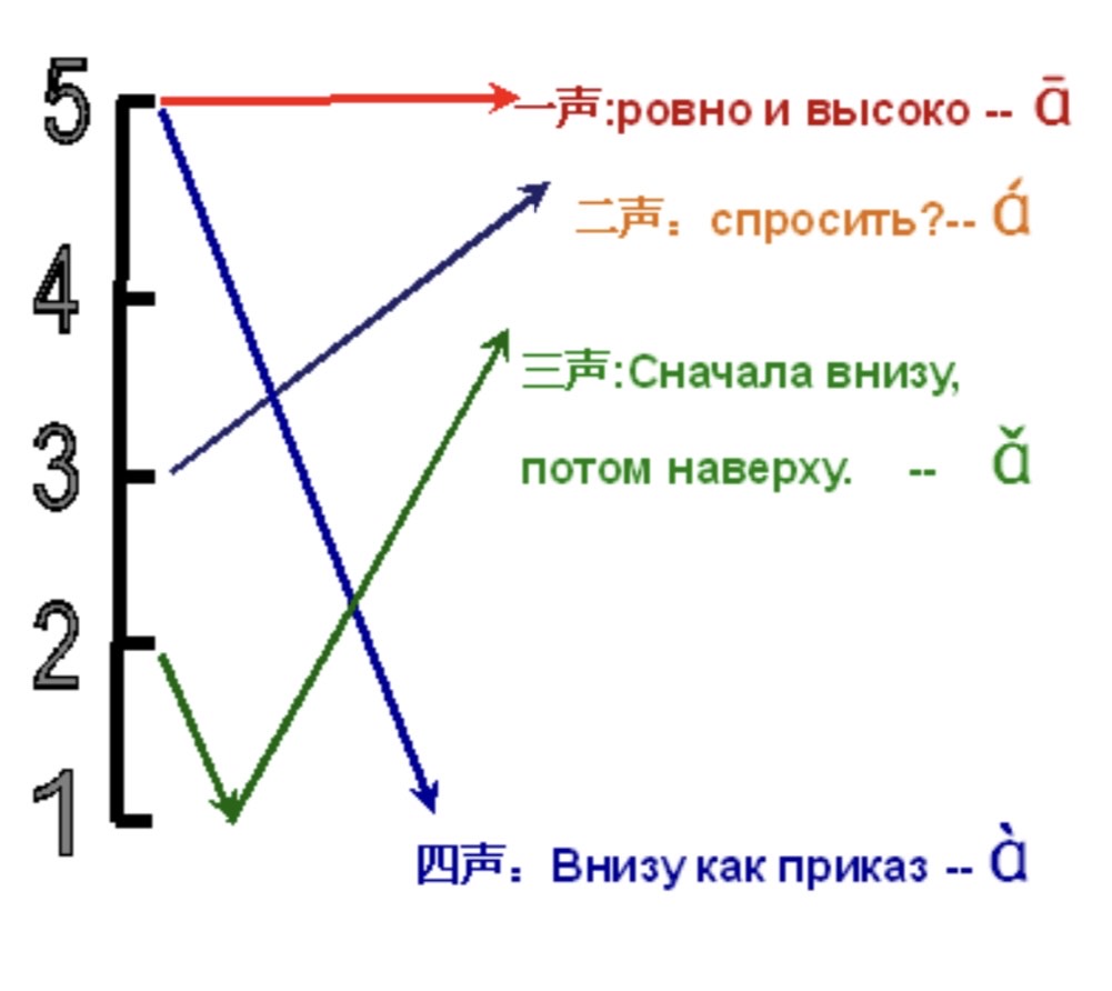  Этапы обучения фонетике