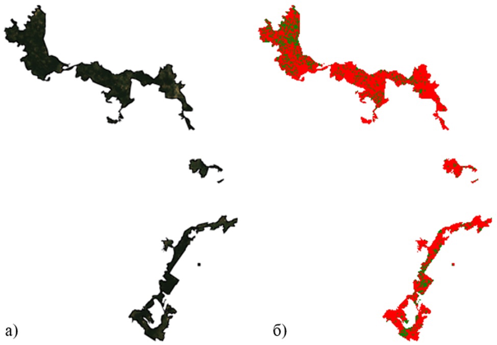 Национальный парк (а) и цветовая схема (б) в 1990 году