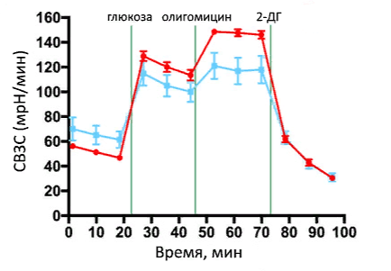 График Seahorse анализа скорости внеклеточного закисления среды