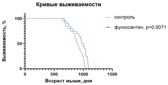 Влияние фукоксантина на продолжительность жизни мышей