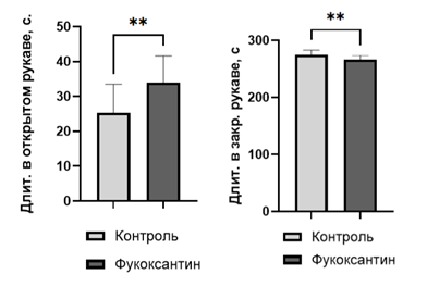 Тест «Крестообразный лабиринт»