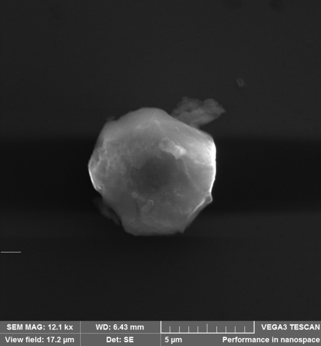 Photograph of an oxide cluster appears under an electron microscope