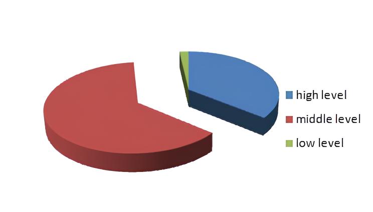 Motivation levels for the period of the 11th grade