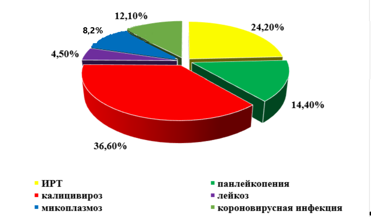 Структура инфекционных заболеваний кошек в г. Новочеркасск за 2021-2023 гг