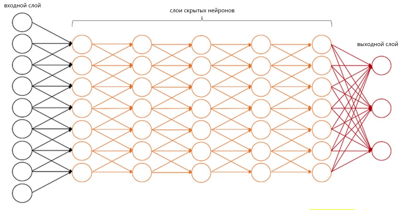 Структура нейронов нейронной сети