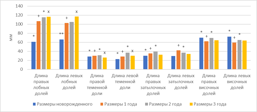 Параметры долей головного мозга девочек