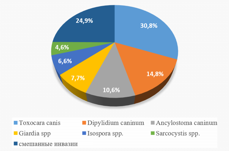 Распространенность инвазионных заболеваний на территории г. Шахты