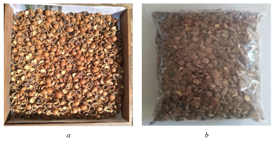 Ensemble of fragments of prepared raw materials: a - raw materials; b - sealed containers