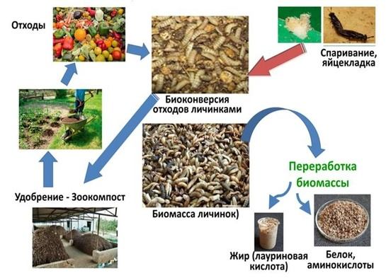 Круговая система питания