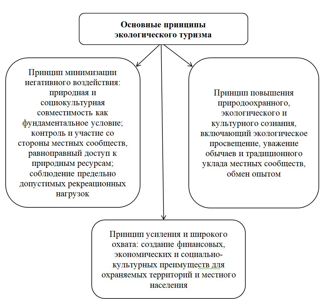 Основные принципы экологического туризма