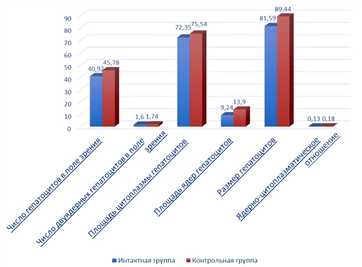 Результаты морфометрического исследования печени с диет-индуцированным ожирением