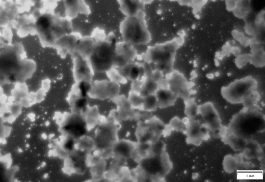 Powdered ash of incineration