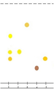 Схема хроматограммы извлечения из стевии листьев