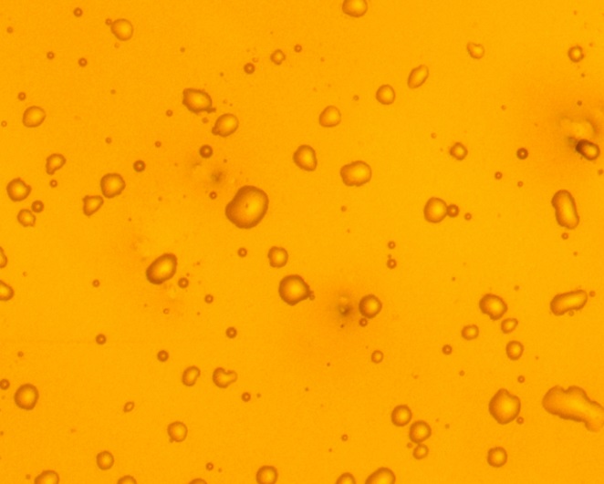 Glass substrate with nanoparticles after exposure in a humid environment