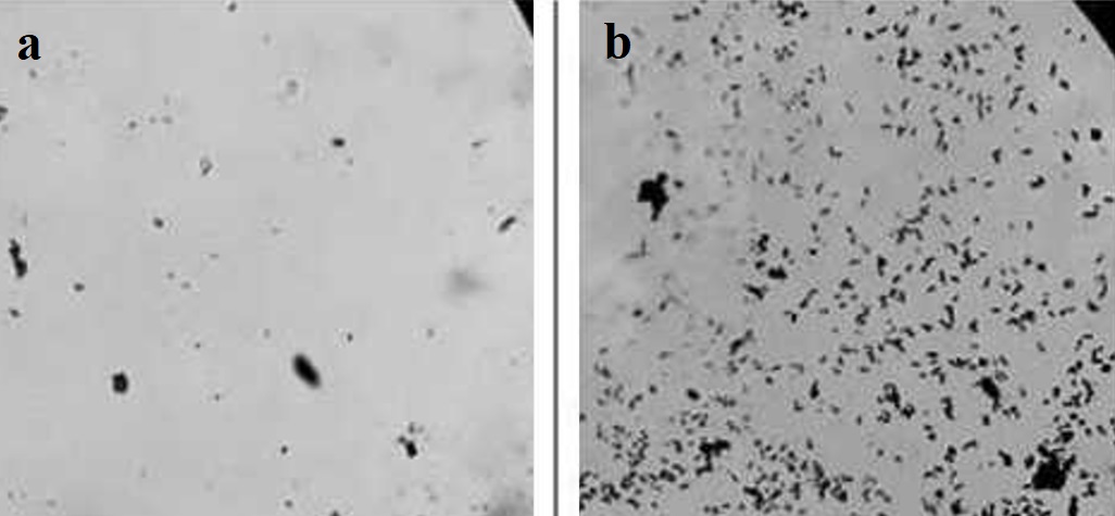 Glass substrate with nanoparticles