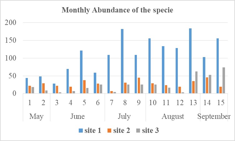Monthly Abundance of of Acanthocercus annectans