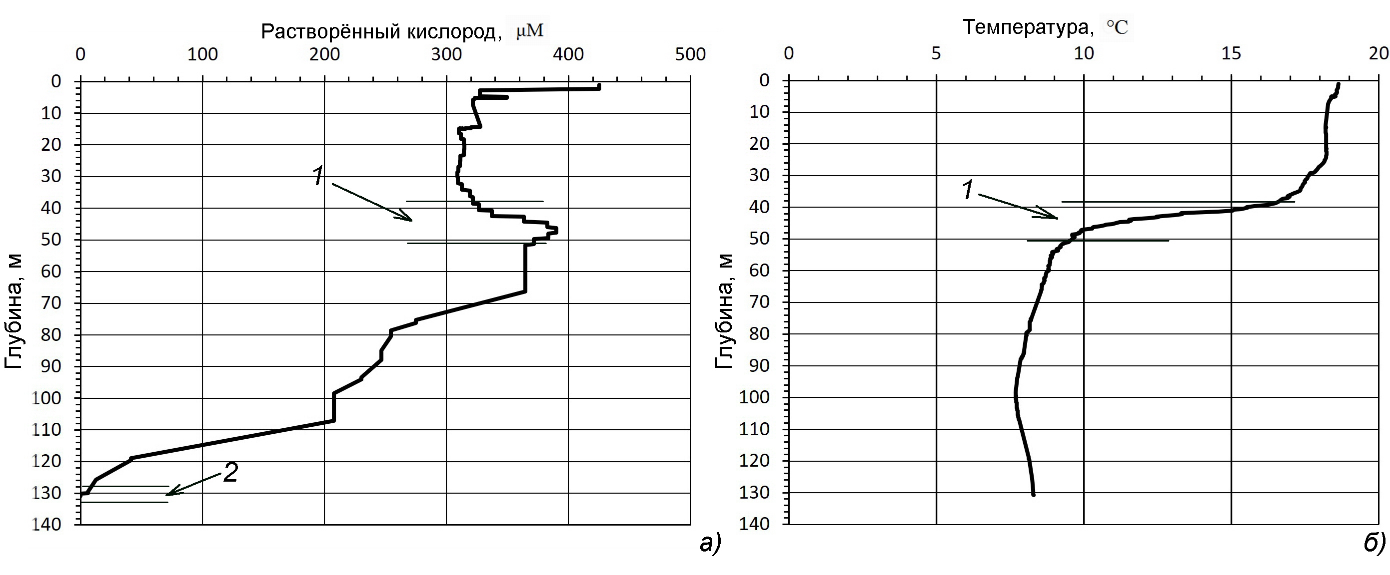 Профили растворённого кислорода (а) и температуры (б), Чёрное море вблизи Анапы, 15.10.13, 15:10