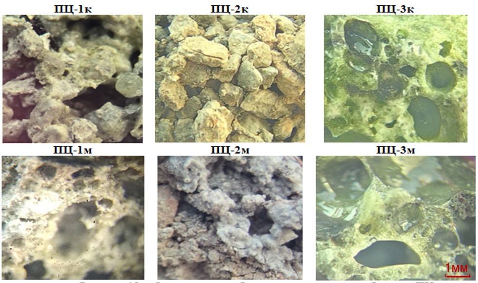 Оптические изображения полученных образцов ПЦ