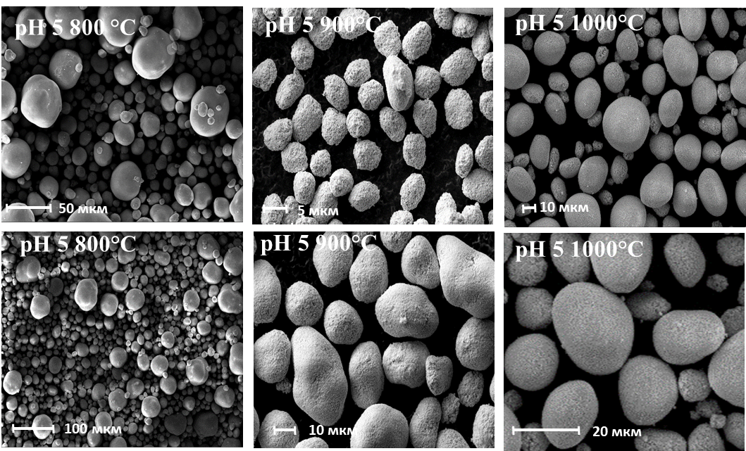 СЭМ изображения порошков, синтезированных при pH 5